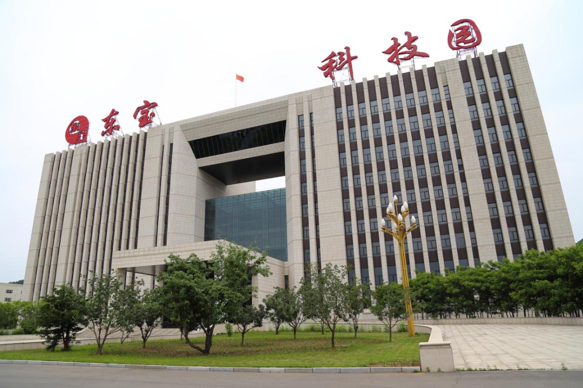 吉林通化东宝药业